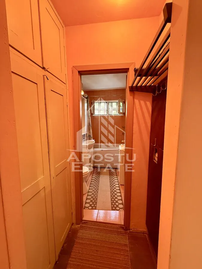 Apartament 3 camere de vanzare, zona Dacia, Timisoara - foto 14