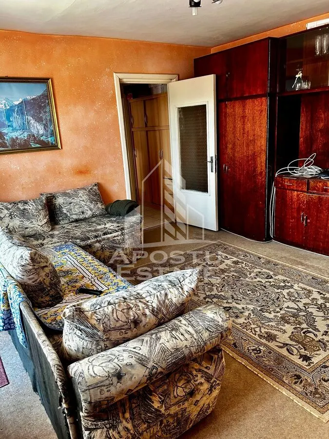 Apartament 2 camere de vanzare, zona Lipovei, Timisoara - foto 2