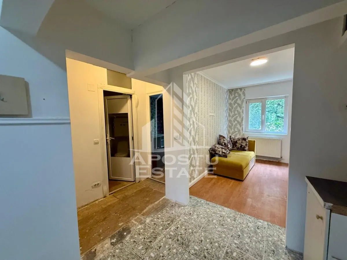 Apartament 3 camere de vanzare, zona Lipovei, Timisoara - foto 11