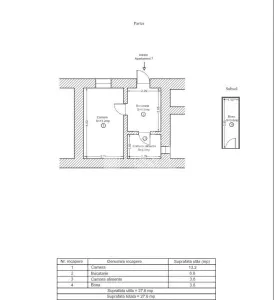 Apartament 1 camera de vanzare, curte comuna, zona Traian, Timisoara - foto 9
