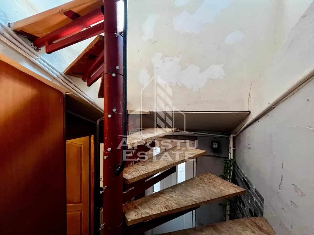 Apartament 3 camere de vanzare, curte comuna, zona Iosefin, Timisoara - foto 13