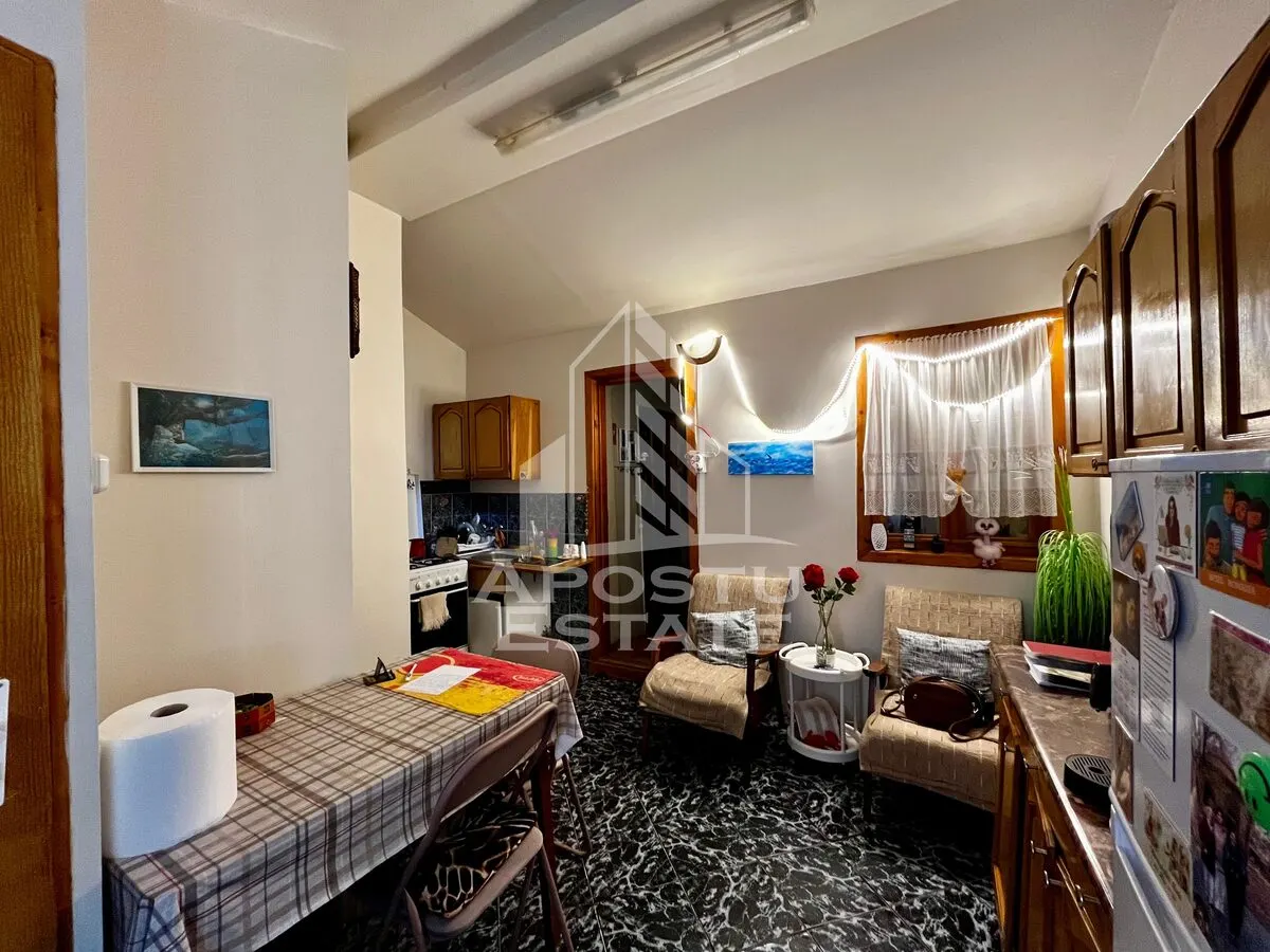 Apartament 3 camere de vanzare, curte comuna, zona Iosefin, Timisoara - foto 15