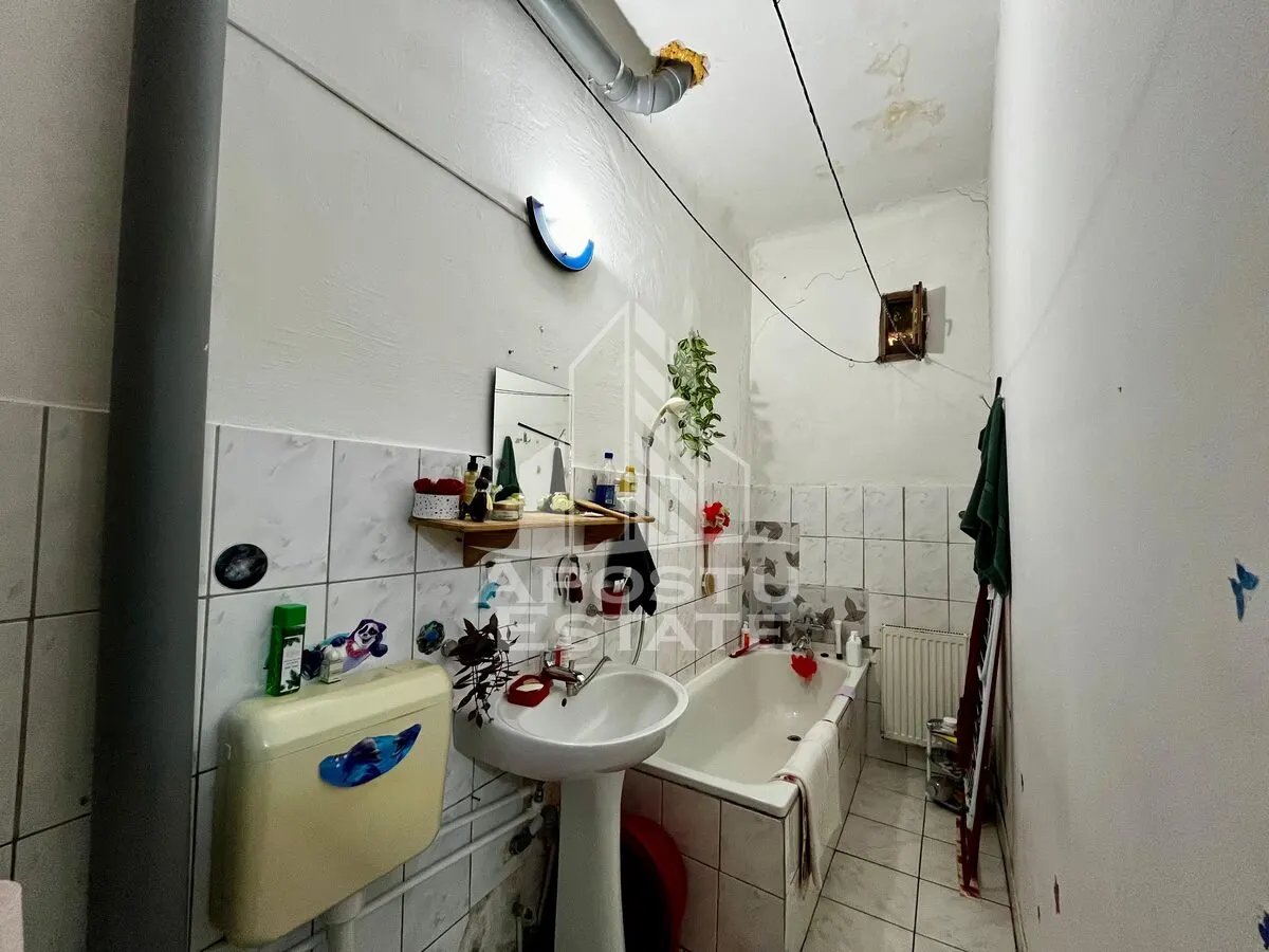 Apartament 3 camere de vanzare, curte comuna, zona Iosefin, Timisoara - foto 20