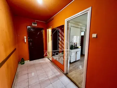 Apartament 4 camere de vanzare, zona Take Ionescu/Cardinale, Timisoara - foto 12