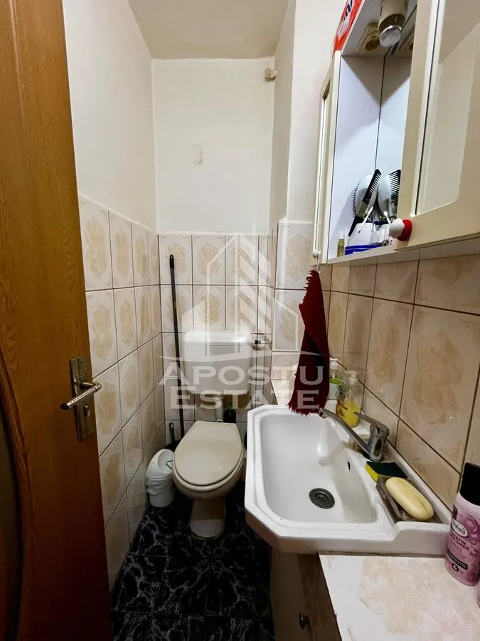 Apartament 3 camere de vanzare, zona Lipovei, Timisoara - foto 15