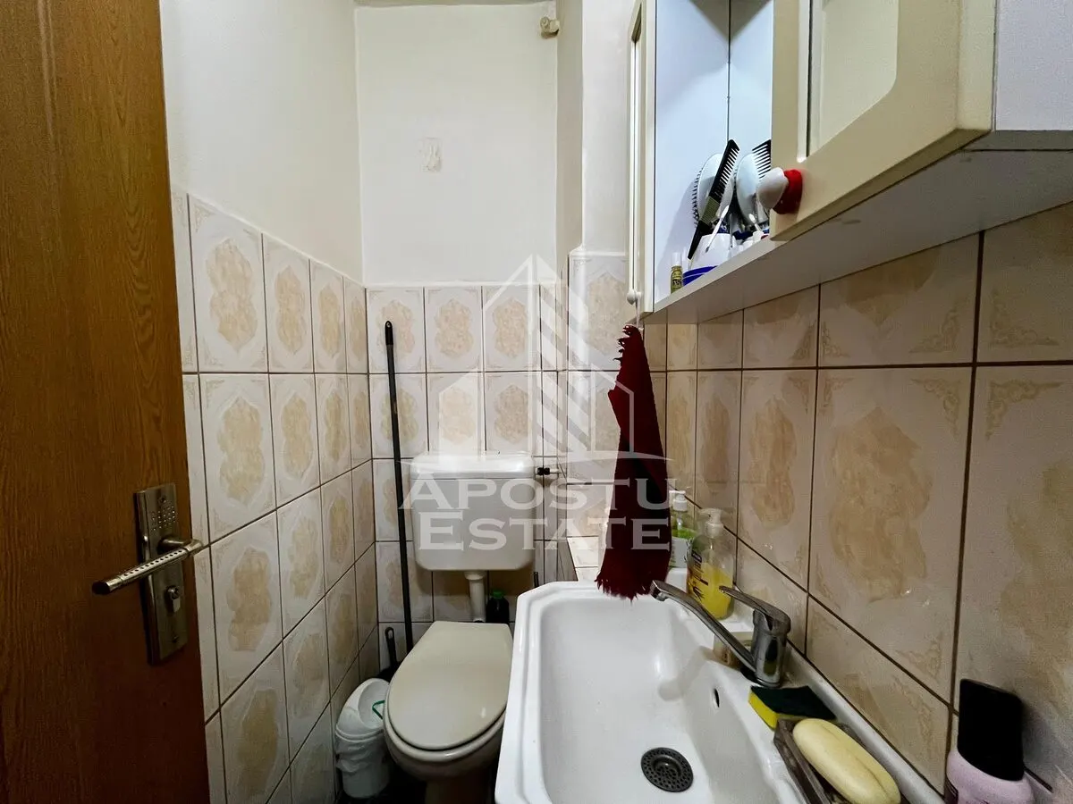 Apartament 3 camere de vanzare, zona Lipovei, Timisoara - foto 16