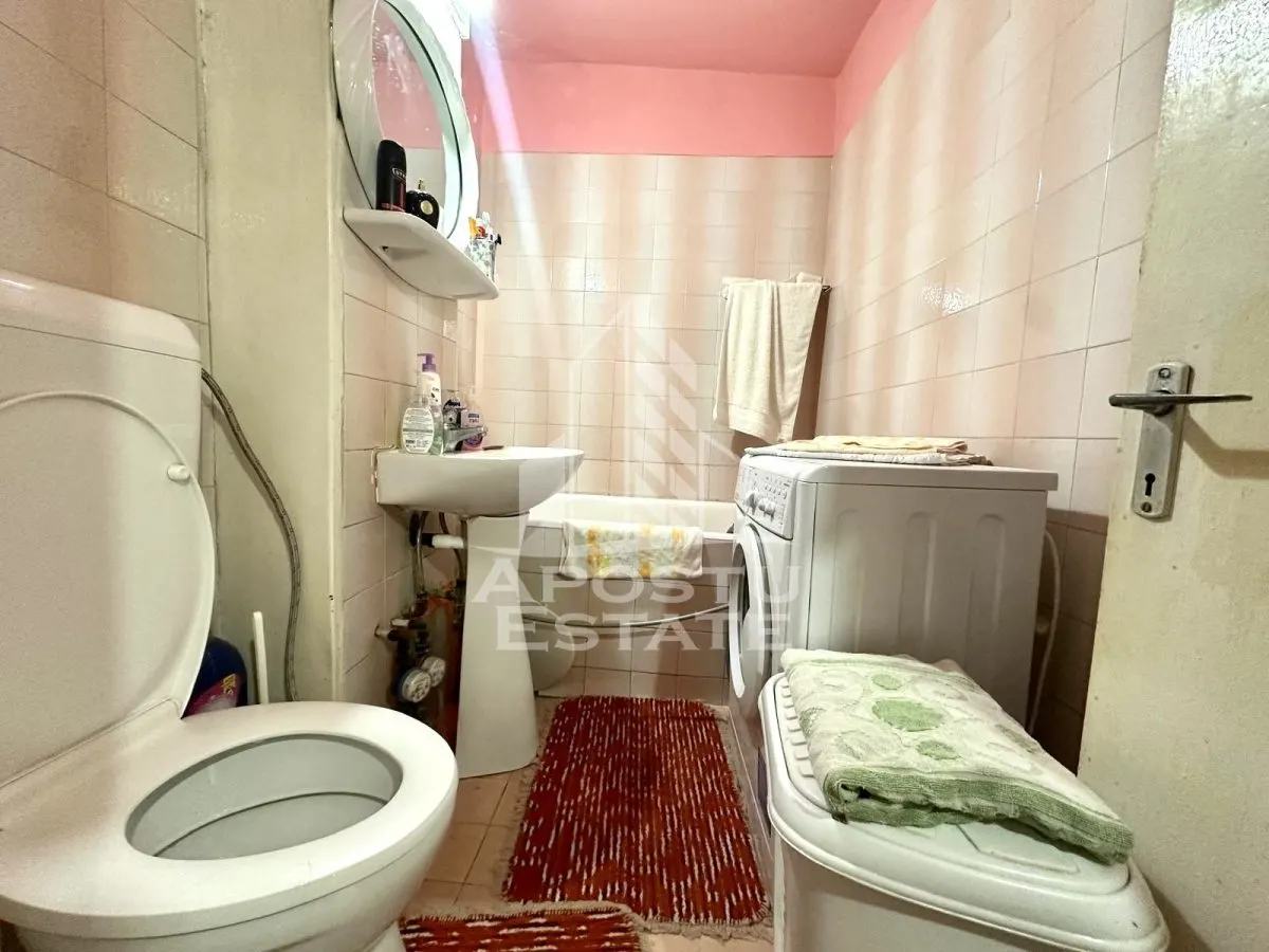 Apartament cu 2 camere de vanzare, etaj 3, zona Dambovita, Timisoara - foto 6