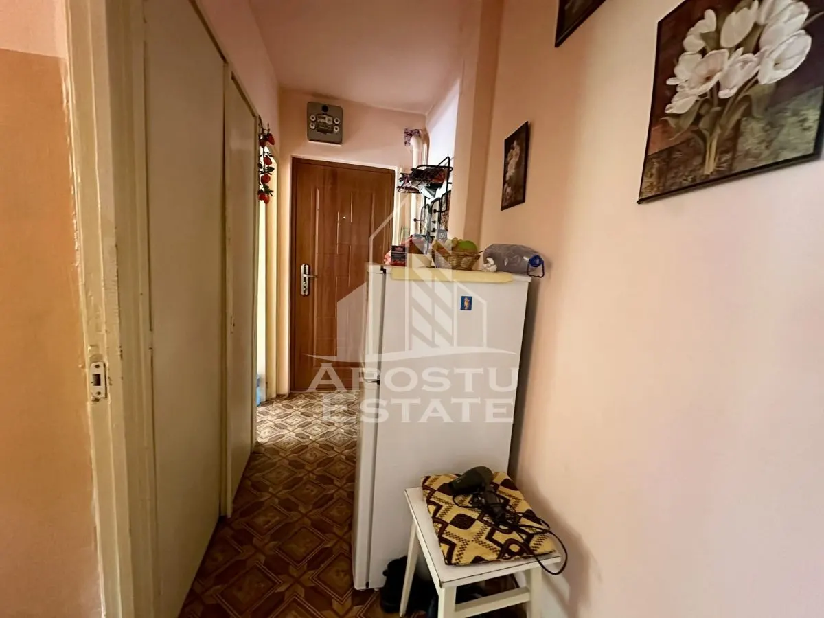 Apartament cu 2 camere de vanzare, zona Sagului, Timisoara - foto 6