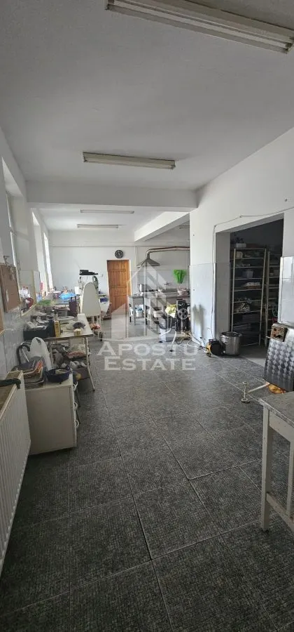 Casa vanzare I pozitie centrala I zona Cetatii I Timisoara - foto 5