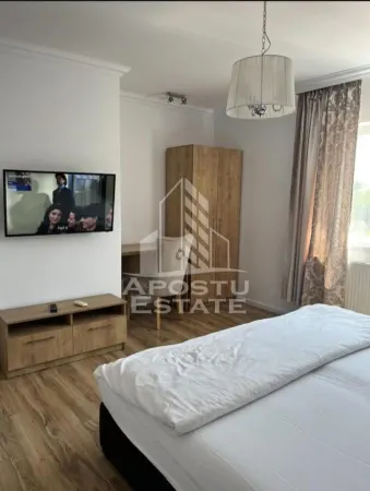 Casă 10 camere Timișoara - poza 9