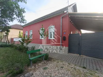 Casa individuala la sat, 5 camere, in Voiteg, judetul Timis - Voiteg