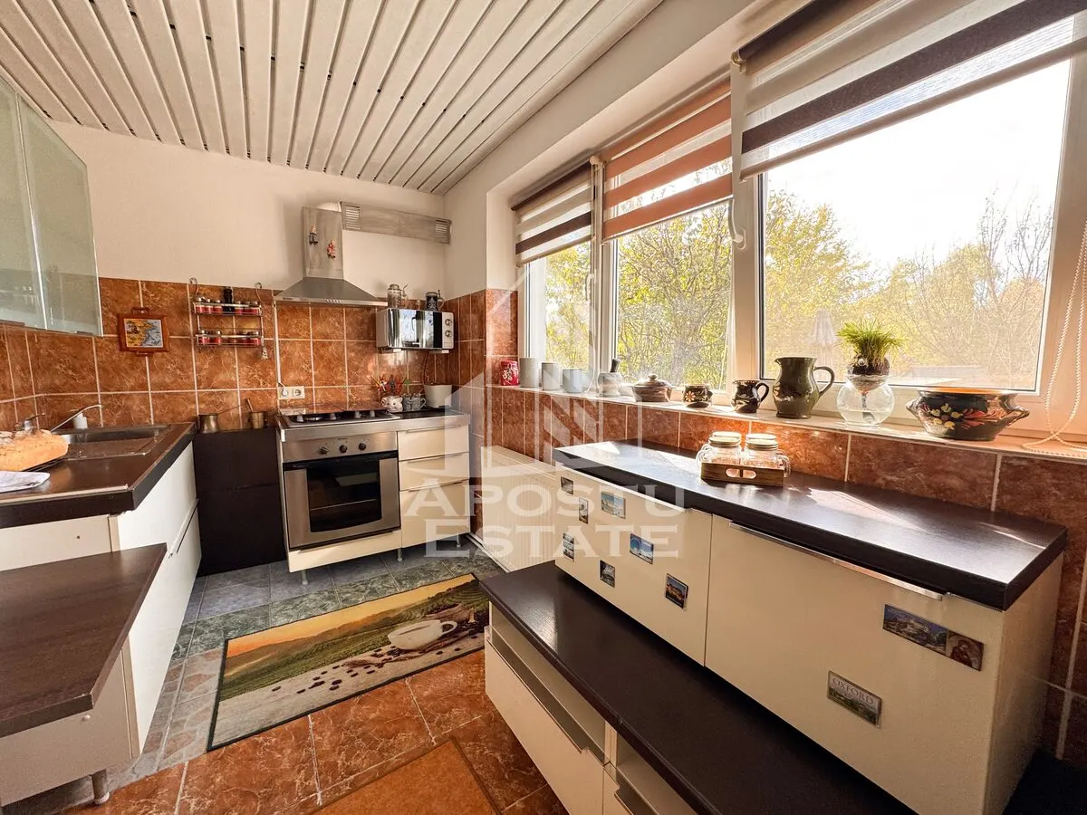 Casa individuala la sat, 5 camere, in Voiteg, judetul Timis - foto 11