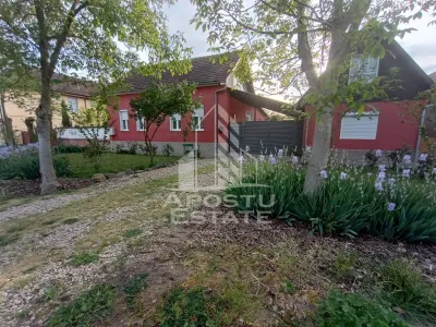 Casa individuala la sat, 5 camere, in Voiteg, judetul Timis - foto 15