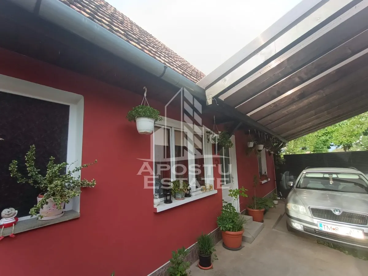 Casa individuala la sat, 5 camere, in Voiteg, judetul Timis - foto 18