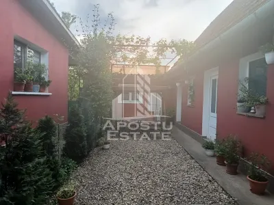 Casa individuala la sat, 5 camere, in Voiteg, judetul Timis - foto 20