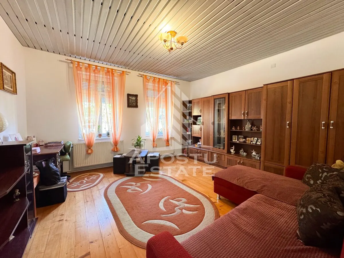 Casa individuala la sat, 5 camere, in Voiteg, judetul Timis - foto 3