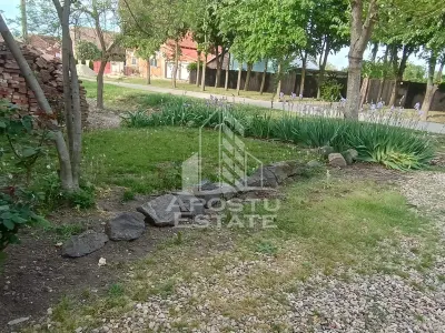 Casa individuala la sat, 5 camere, in Voiteg, judetul Timis - foto 21