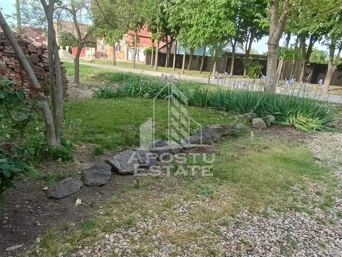 Casa individuala la sat, 5 camere, in Voiteg, judetul Timis - foto 21