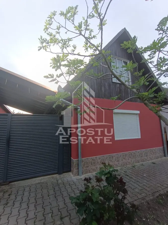 Casa individuala la sat, 5 camere, in Voiteg, judetul Timis - foto 22