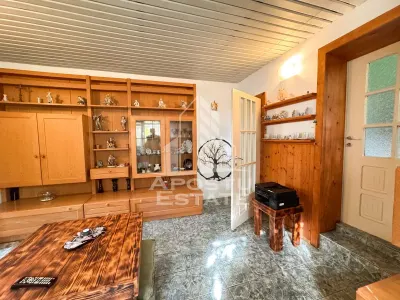 Casa individuala la sat, 5 camere, in Voiteg, judetul Timis - foto 9