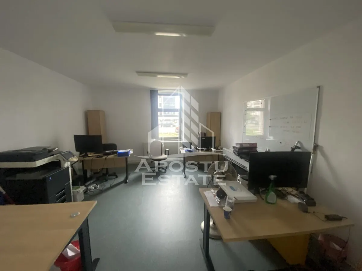 Casa in Dumbravita cu teren de 3039 mp si Front Stradal de 40 ml - foto 1