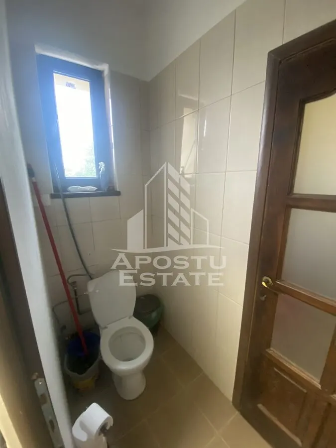 Casa in Dumbravita cu teren de 3039 mp si Front Stradal de 40 ml - foto 2