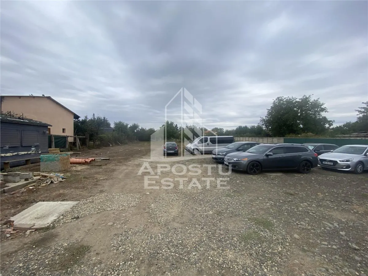 Casa in Dumbravita cu teren de 3039 mp si Front Stradal de 40 ml - foto 4