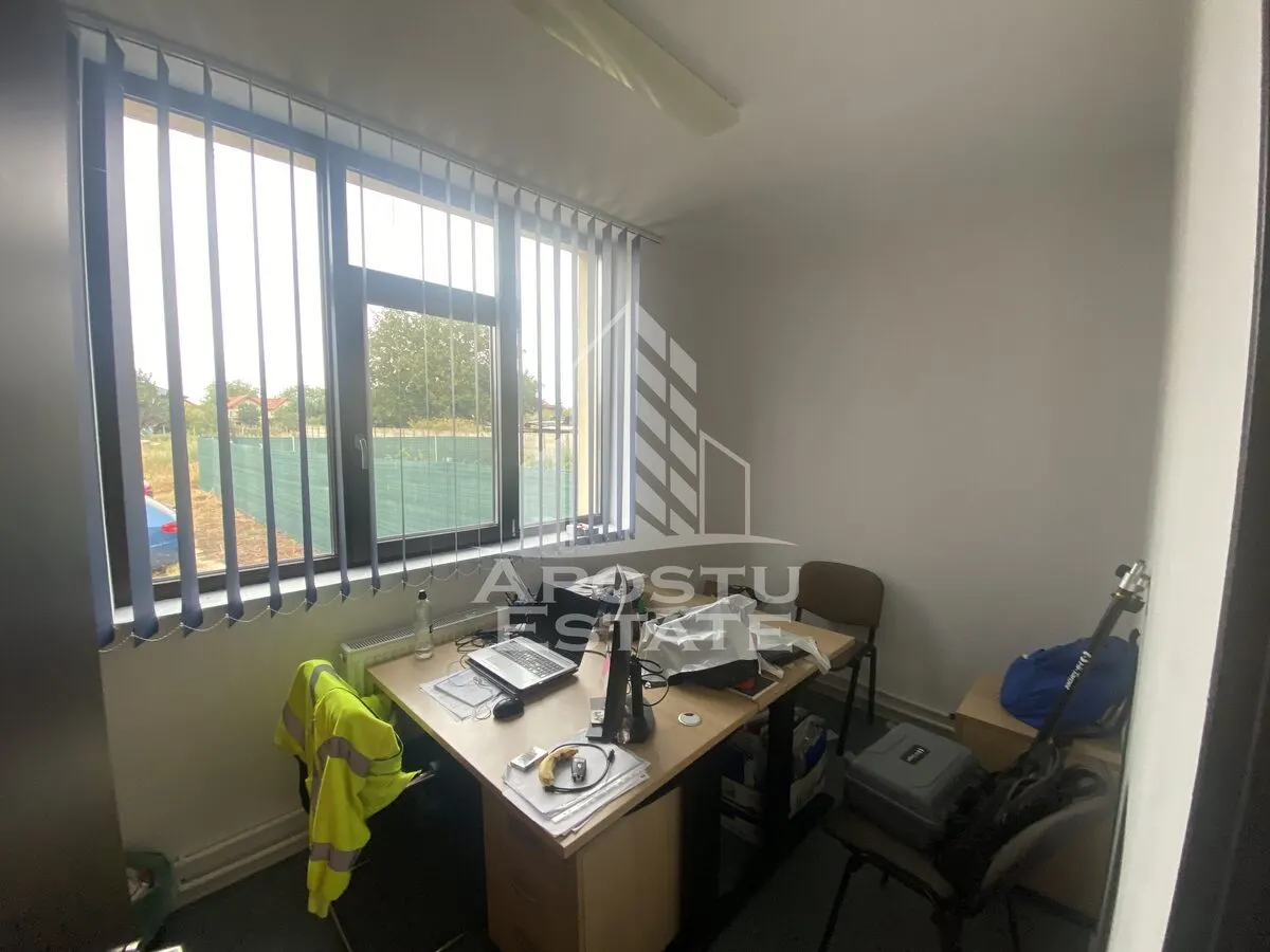 Casa in Dumbravita cu teren de 3039 mp si Front Stradal de 40 ml - foto 6