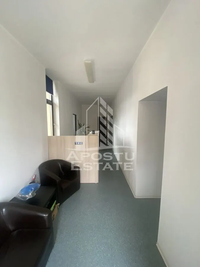 Casa in Dumbravita cu teren de 3039 mp si Front Stradal de 40 ml - foto 7
