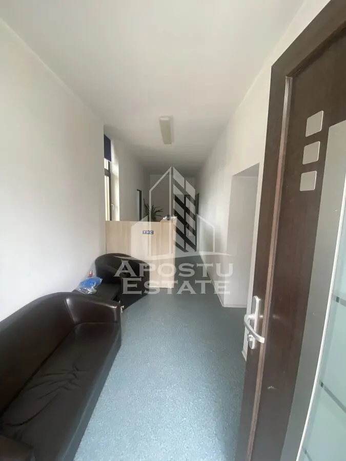 Casa in Dumbravita cu teren de 3039 mp si Front Stradal de 40 ml - foto 8