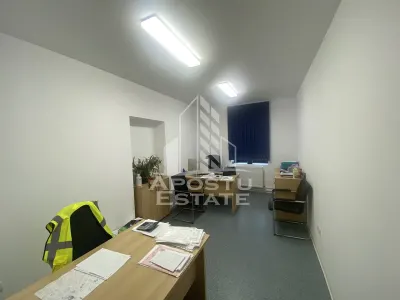 Casa in Dumbravita cu teren de 3039 mp si Front Stradal de 40 ml - foto 9