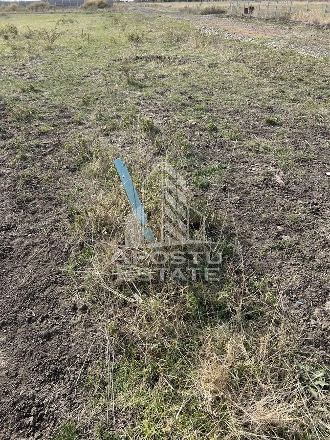 DE VANZARE â€“ Teren 758 mp, zona Metro 2 â€“ cu potential excelent de dez - foto 3