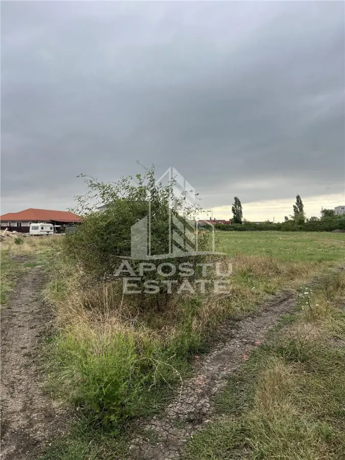 Parcela 707 mp in Sacalaz langa cartierul Primaverii - foto 1