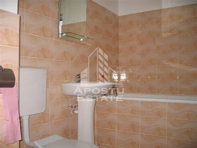 Apartament 2 camere UTA ARED de inchiriat - foto 7