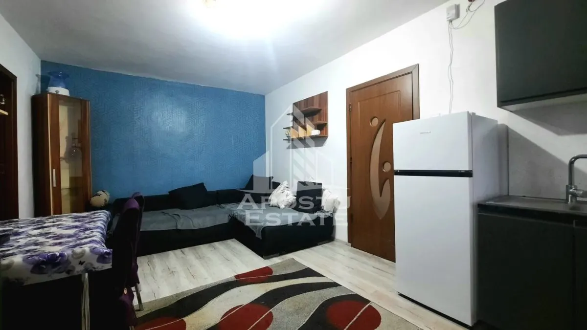Apartament de inchiriat 2 camere 300 euro zona Miorita - foto 9