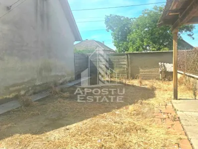 Casa cu teren in localitatea Simand - foto 13