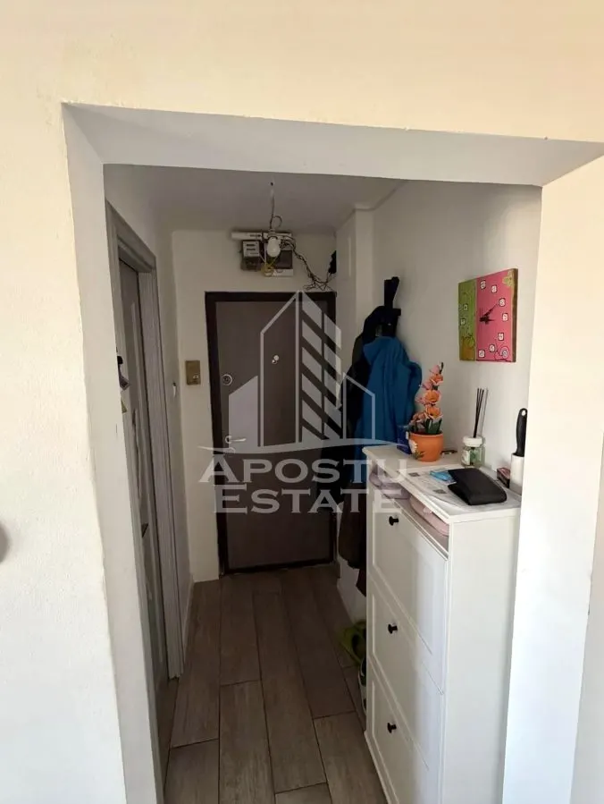 Apartament cu 3 camere de vanzare, centrala, zona Sagului, Timisoara - foto 7