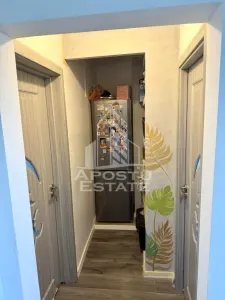 Apartament cu 3 camere de vanzare, centrala, zona Sagului, Timisoara - foto 8