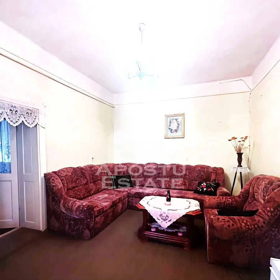 Casa de vanzare in Zimandu Nou - foto 2