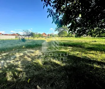 Casa de vanzare in Zimandu Nou - foto 12