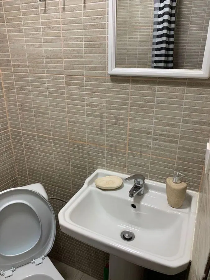 BUZIASULUI - APARTAMENT 1 CAMERA - mobilat, utilat, decomandat - foto 7