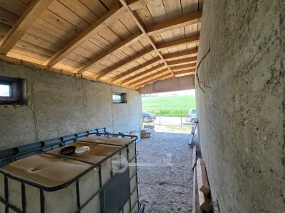 Casa Miroslava - Plan parter - foto 5