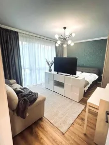 Apartament 1 Cameră Premium, Lux, Parcare Inclusă, Ciurchi â€“ Tătărași - foto 2