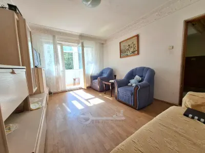 Liber, Pacurari Alpha Bank, apartament 3 camere, etaj 2 - foto 2