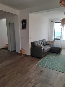 Casa/Vila de inchiriat Antibiotice - 770 euro - foto 2