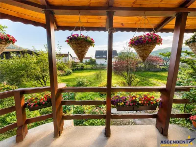Tur 3D! Doua case traditionale, pe domeniu versatil, la doar 1Km de Castelul Bran - Brasov