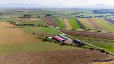 FILM! Zona extinsa, teren mixt,18.000 mp, ideal agro-investitii, Rotbav, Brasov - foto 11