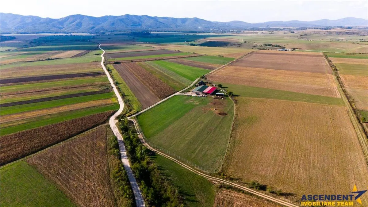 FILM! Zona extinsa, teren mixt,18.000 mp, ideal agro-investitii, Rotbav, Brasov - foto 13