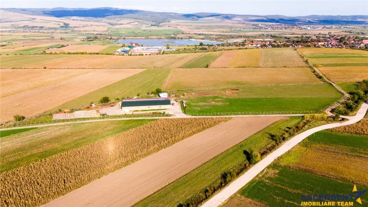FILM! Zona extinsa, teren mixt,18.000 mp, ideal agro-investitii, Rotbav, Brasov - foto 3