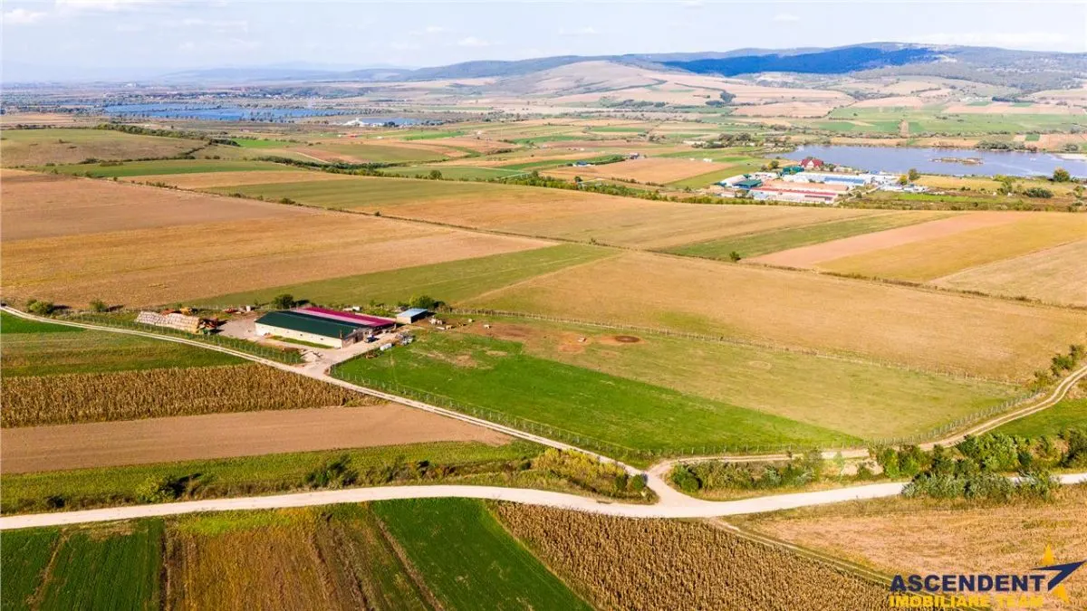 FILM! Zona extinsa, teren mixt,18.000 mp, ideal agro-investitii, Rotbav, Brasov - foto 4